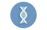 DNA polymerases for conventional PCR