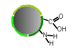 Functionalized Microspheres