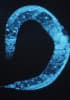 Anti-C. elegans
