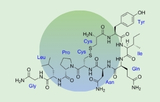 Oxytocin