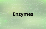 Enzymes