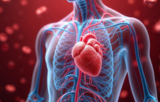 cardiovascular disease