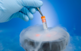 Cryopreservation media