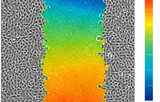 Wound Healing FastTrack AI Image Analysis