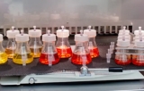 Sampling & Standard Flasks