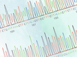 Next-Generation Sequencing 