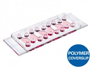 Chemotaxis on µ-slides