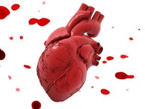 Human Samples for Your Cardiovascular Research: Cells, Tissues, and Sections