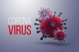 COVID-19 - SARS-CoV-2 - New coronavirus products for diagnostic and research