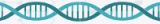 RT-qPCR mix for probes Low ROX