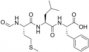 Custom service : Peptide synthesis