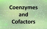 Coenzymes and cofactors Assay Kit