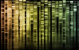 DNA arrays