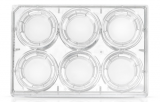 3D Cell Culture Systems