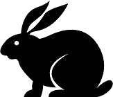 Anti-AR (ARv7 Splice Variant) rabbit monoclonal antibody [RM7]