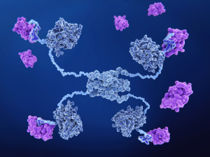 Complete solutions for Protein expression