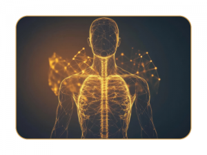 Protein production and purification in a human model