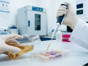 FBS Solutions for Consistent Cell Growth 