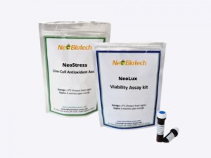 Measure Oxidative Stress Better – Live Cells & Biochemical Markers