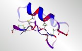 Peptides