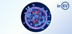 15% Discount on Fully Characterized, Bioengineered Extracellular Vesicles