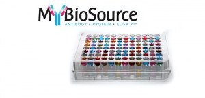 Get 20% OFF all MyBioSource products!