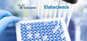 Get Your 50% Discount on a Large Selection of ELISA Kits!