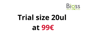 Bioss Recombinant Monoclonal Antibodies 20 µl Trial Size – Only 99€