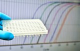 Real-time quantitative PCR for diagnosis