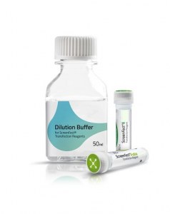 Multi-purpose transfection reagent