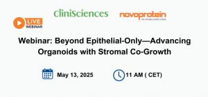 Webinar: Beyond Epithelial‑Only—Advancing Organoids with Stromal Co‑Growth