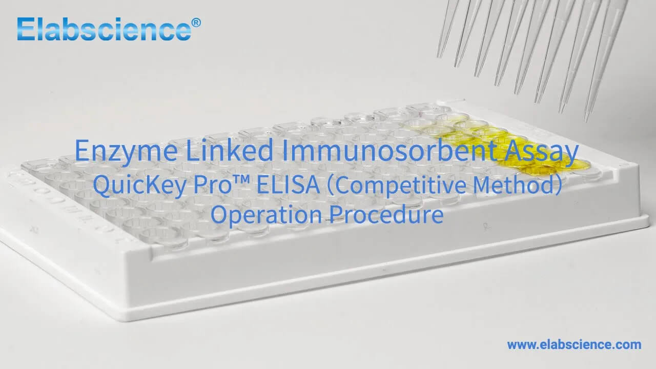 QuicKey Pro ELISA (Competitive Method) Operation Guide Video