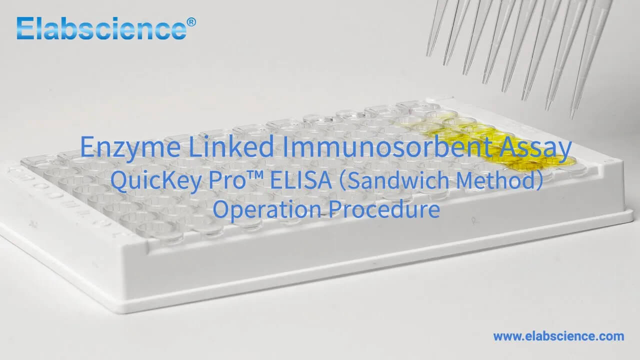 QuicKey Pro ELISA (Sandwich Method) Operation Guide Video
