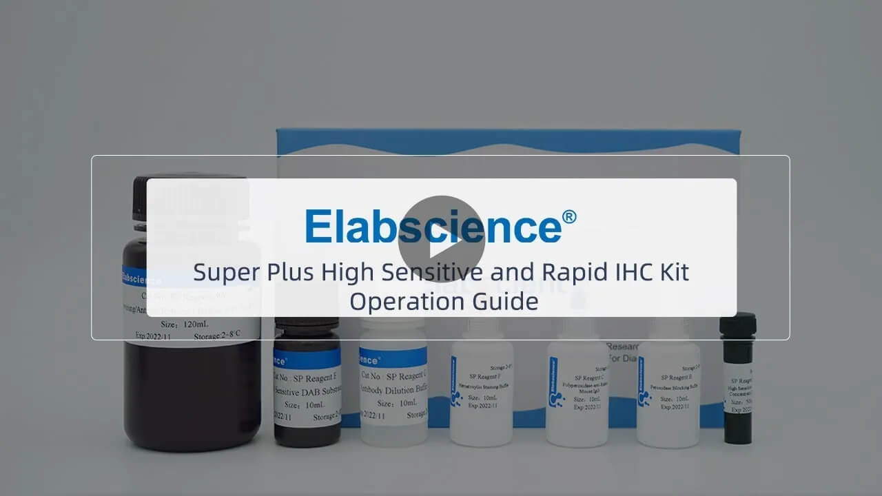 Super Plus High Sensitive and Rapid IHC Kit Operation Guide Video