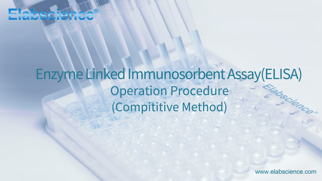 Competitive ELISA Operation Guide Video