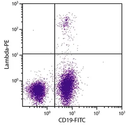 Goat Anti-Mouse lambda light chain antibody, pre-adsorbed (PE). GTX04203-08