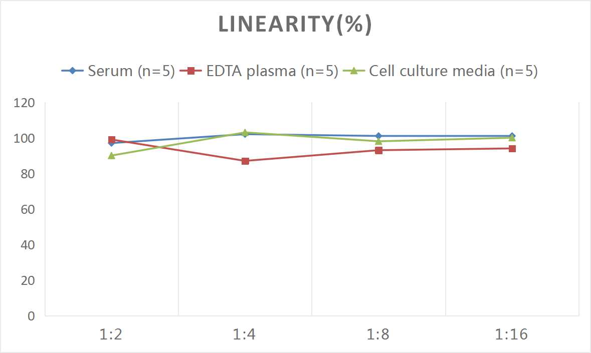 Mouse FSH(Follicle Stimulating Hormone) ELISA Kit - 2