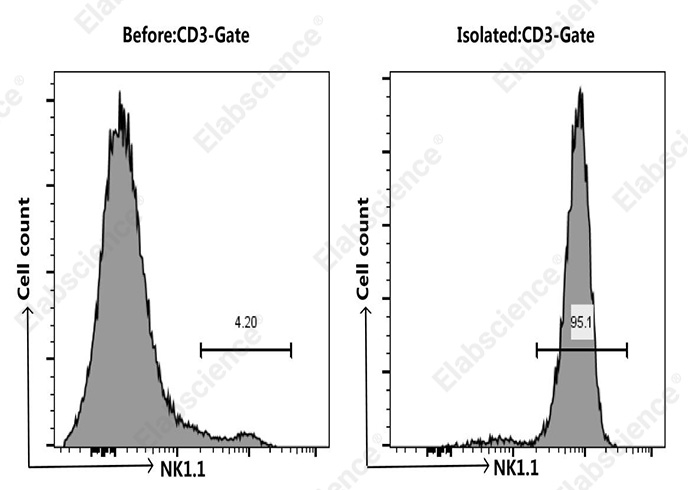 EasySort™ Mouse NK Cell Isolation Kit - 1