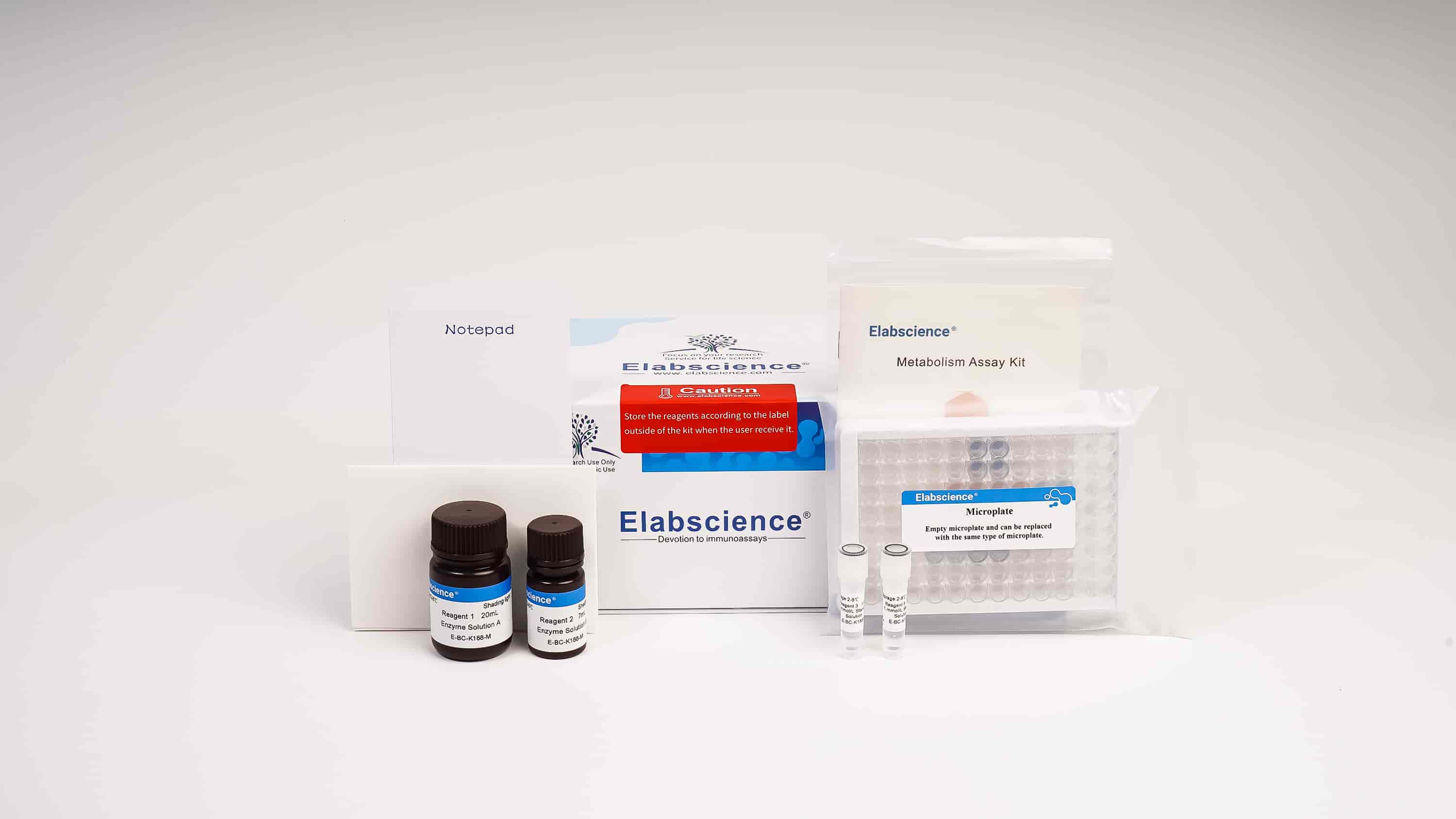Reduced Glutathione (GSH) Colorimetric Assay Kit - small - 3