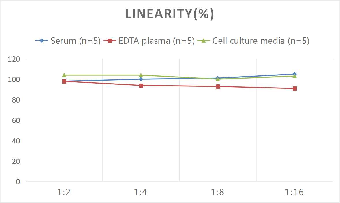 Mouse IL-6(Interleukin 6) ELISA Kit - 2