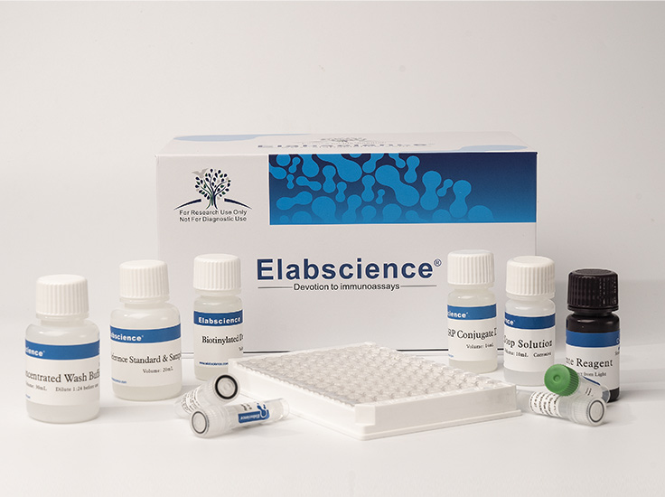 Rat IgG(Immunoglobulin G) ELISA Kit - small - 4