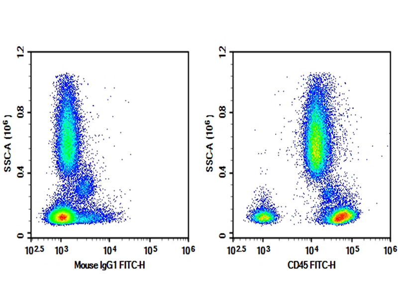 Purified Anti-Human CD45 Antibody[BC8], Functional Grade - 1