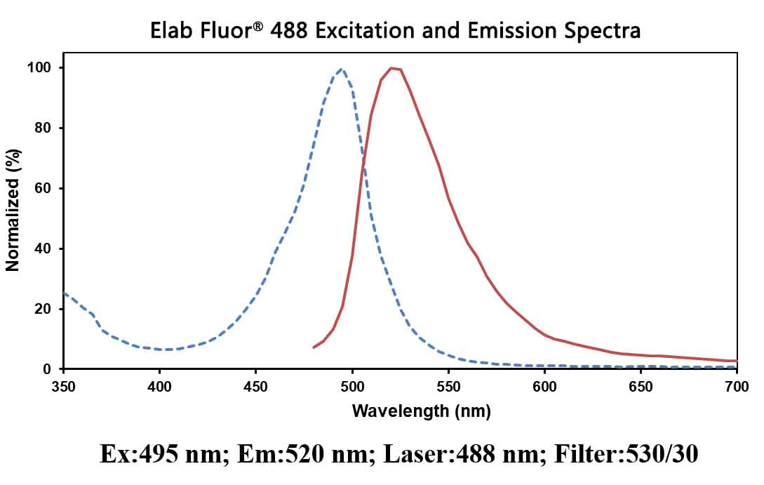 Elab Fluor<sup>®</sup> 488-11-dUTP - 1