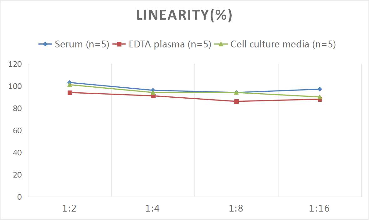 Human GDF11(Growth Differentiation Factor 11) ELISA Kit - 2