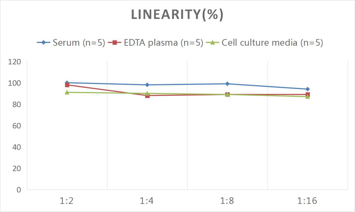 Human IL-35(Interleukin 35) ELISA Kit - 2