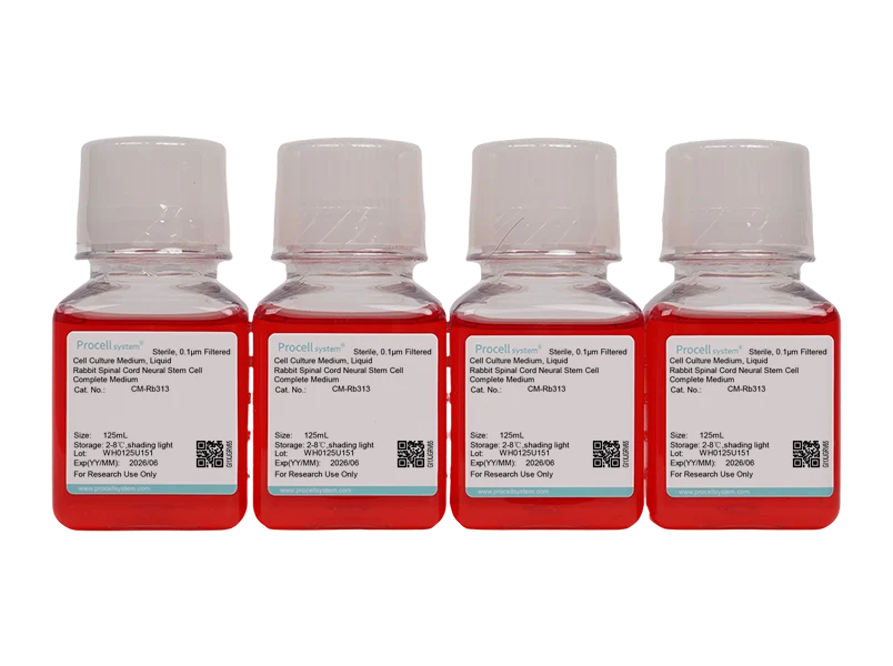 Rabbit Spinal Cord Neural Stem Cell Complete Medium - 2