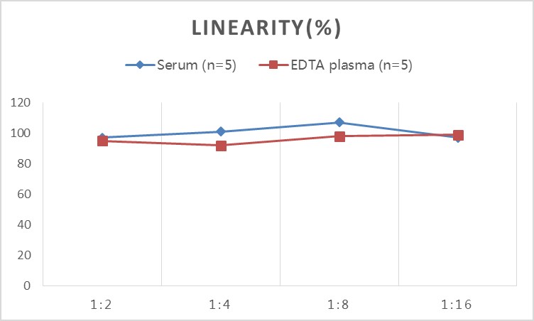 SARS-CoV-2 Spike Protein S1 RBD ELISA Kit - 2
