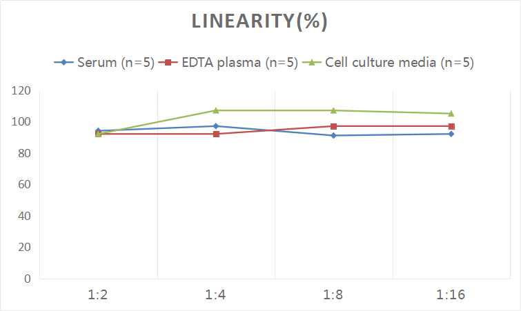 cAMP(Cyclic adenosine monophosphate) ELISA Kit - 2
