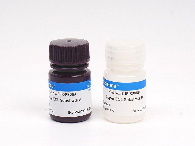Super Excellent Chemiluminescent Substrate (ECL)Diagnostic Kit - 1