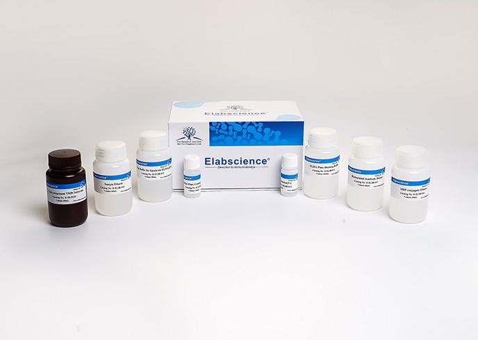 Ancillary Reagent Kit - 2